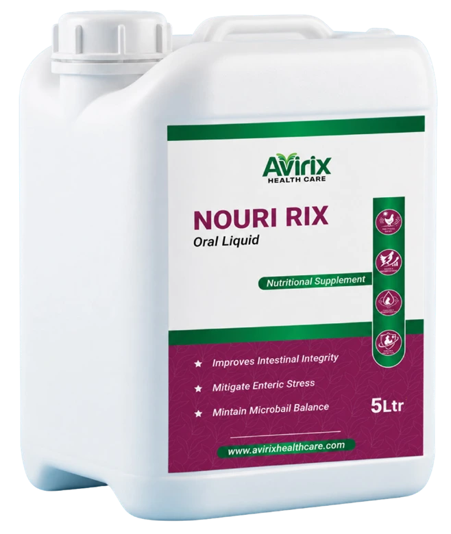NOURI RIX recovery support