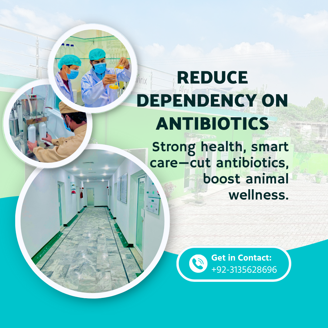 blue and turquoise simple medical insurance instagram post