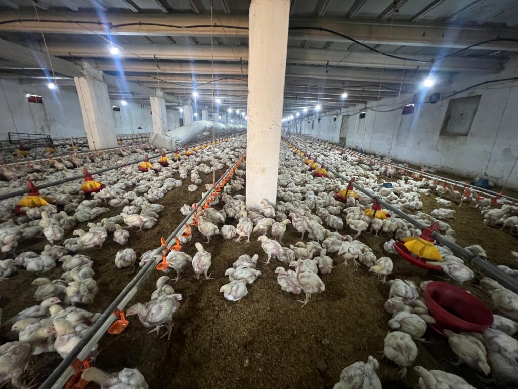 whatsapp image 2026 01 02 at 12.43.19