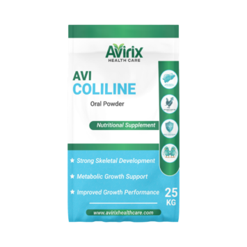 avi coliline