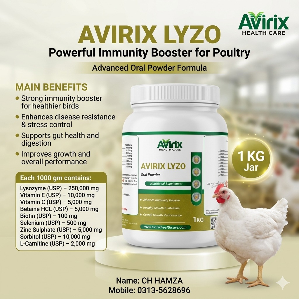 whatsapp image 2026 04 08 at 09.06.39 whatsapp image 2026 04 08 at 09.06.39